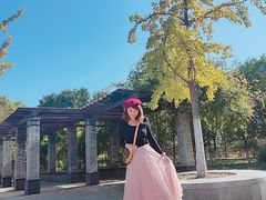 -永定河休闲森林公园