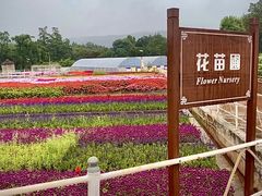 -昆明春城湖畔度假村