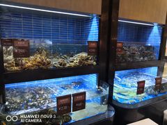 水产区-徐记海鲜·宴会(大唐西市|丰庆店)