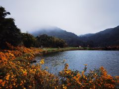 -广州市石门国家森林公园