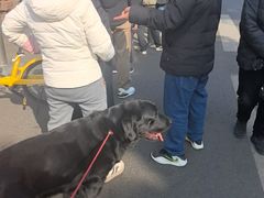 -老黄记手撕烤兔(玉林街店)