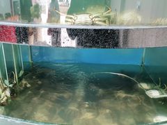 -蟹状元大闸蟹·年货·粽子(成都成华店)