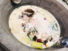 原味原汁锅-鲜潭蒸汽石锅鱼(五道口购物中心店)