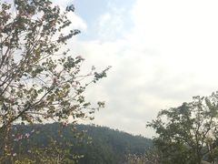-火炉山森林公园