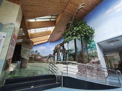 -延庆地质公园博物馆