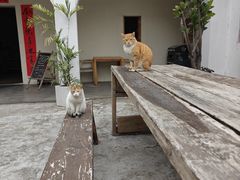 -兮食农场餐厅