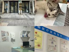 -守诺宠物医院·眼科· 特色牙科·异宠专科(虹口店)