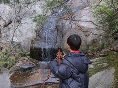-王顺山国家森林公园