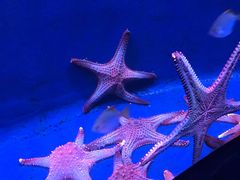 -沈阳海洋探索中心