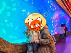 -华夏文旅海洋公园