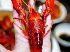 -七寸飝大饭店(马场店)