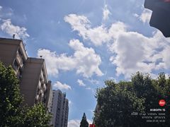 -牛New寿喜烧(新六百店)