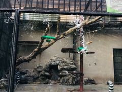 -保定市动物园
