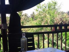 -万兴启丰椰子文化园餐厅