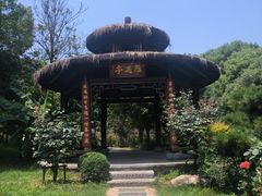 -东湖落雁景区