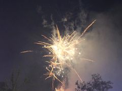 -大塘金香草谷