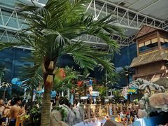 -青岛东方影都融创水世界