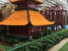 -兰陵国家农业公园