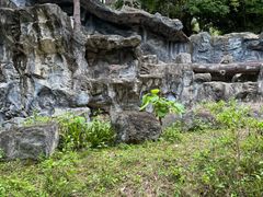 -清迈夜间动物园