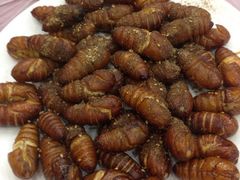 iphone_upload_pic-天津乾毓德饭庄·清真传统炒菜·海鲜烧烤(咸阳路店)