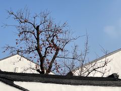 -北寺塔
