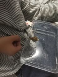 -安吉拉青春化管理中心