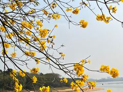 -松山湖风景区松湖烟雨