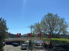 -望湖烤鱼