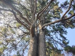 -终南山南五台景区