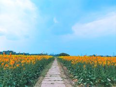 -中国天府农业博览园