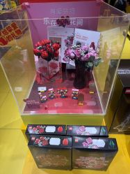 -乐高授权专卖店(岭南站NOVA店)