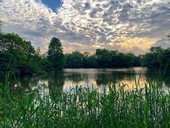 景观位-新荣记(西溪湿地店)