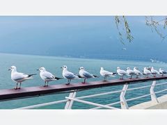 -滇池海埂公园