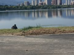 -永定河休闲森林公园