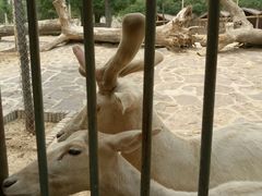 -石家庄市动物园