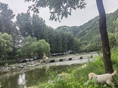 -京北渔家傲