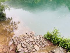 -大奇山国家森林公园