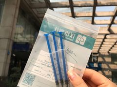 -瑞派名望志远动物医院·猫科·內科·异宠专科(直港大道店)