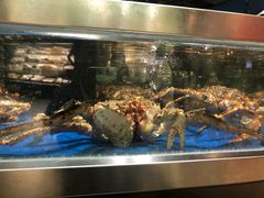 -盒马鲜生(莱蒙都会店)