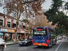 -肖肖酸萝卜鱼火锅(总店)