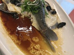 -陶缘一号·四季缘·老字号顺德菜·户外婚礼家宴(西滘店)