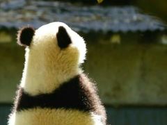 -凯乐会量贩KTV(国防大厦总店)