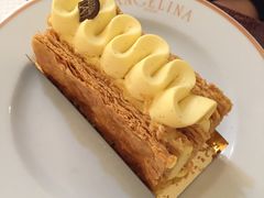 -Angelina(老佛爷店)