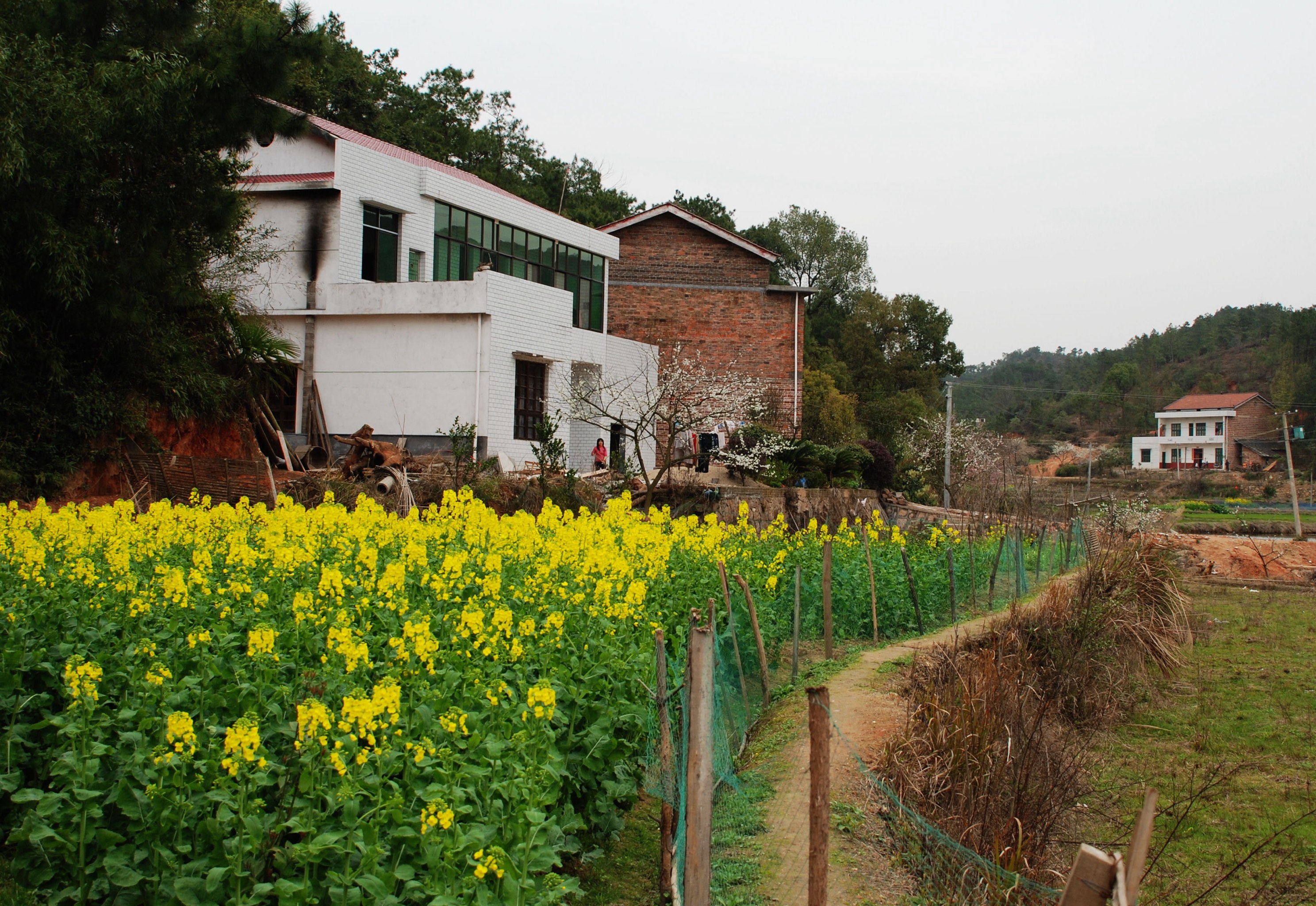 南方乡村风景图片图片