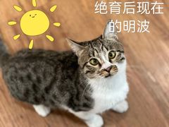 -爱诺耐芙动物医院(万博店)