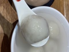 -海丝金凤(金鱼店)