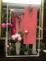 -北京四季酒店·宴会厅