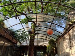 -zarah(鼓楼店)