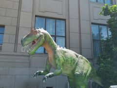 -国家自然博物馆