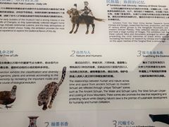 -四川大学博物馆